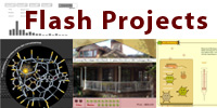 Flash Projects